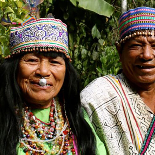 The Benefits of Working with the Shipibo Lineage in Ayahuasca Ceremonies