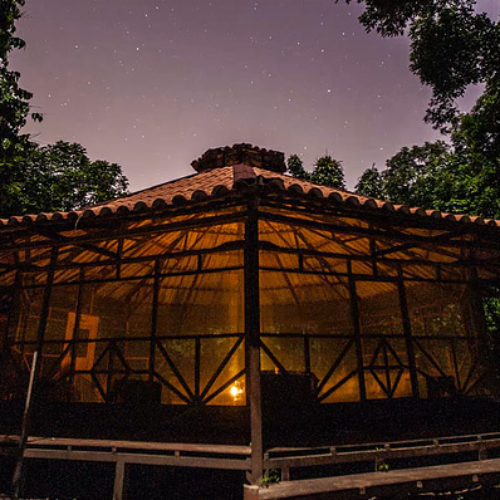 How to Choose the Right Ayahuasca Retreat for You