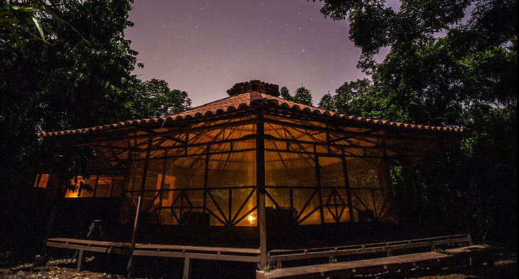 Ayahuasca Retreat