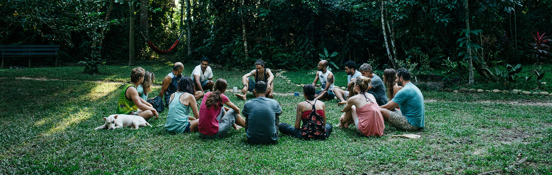 Ayahuasca Integration Discussion at Nimea Kaya