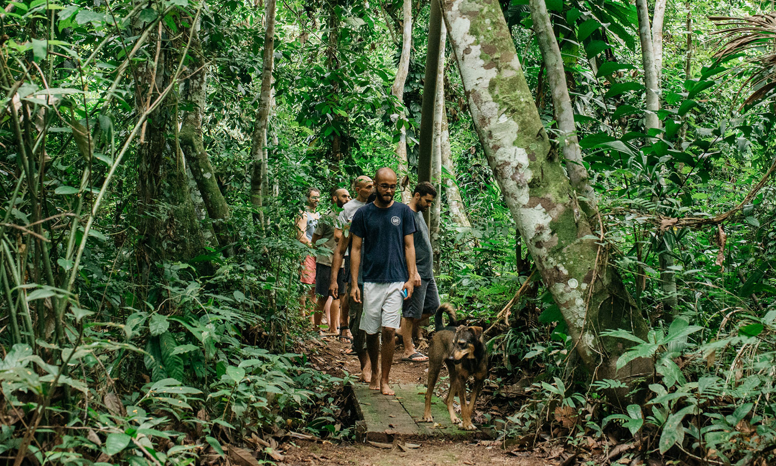 Plant Walk Amazon Nimea Kaya