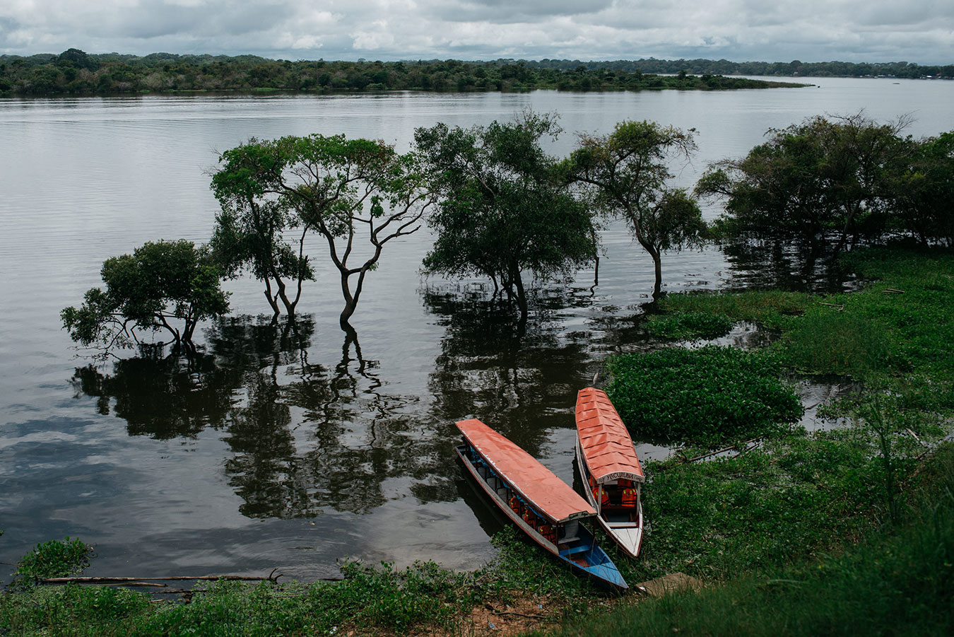 Yarina Cocha Lake Nimea Kaya