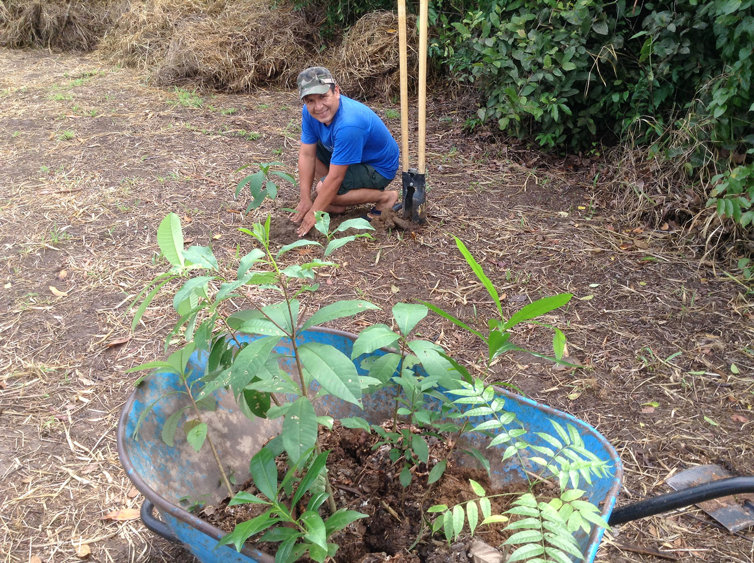 Amazon Reforestation Nimea Kaya Retreat Center