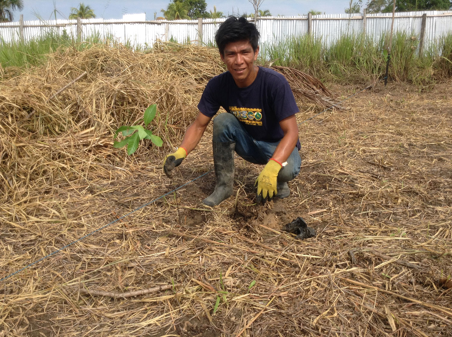 Reforestation Amazon Nimea Kaya Retreat Center
