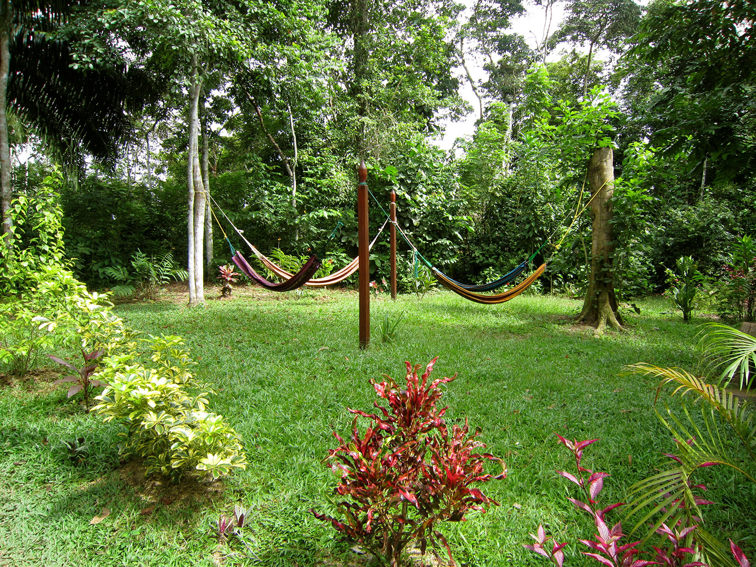 Nimea Kaya Grounds