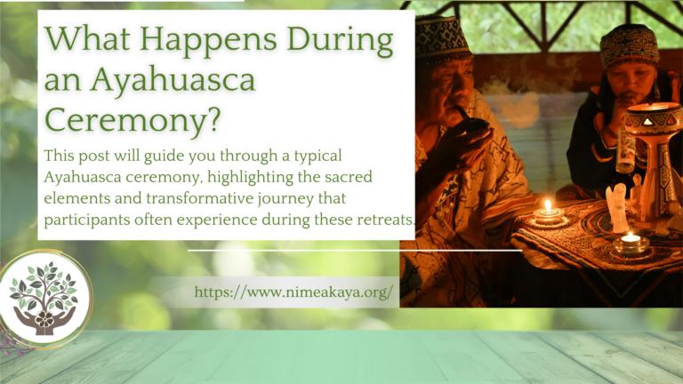 Co se děje během obřadu Ayahuasca? Podrobný přehled