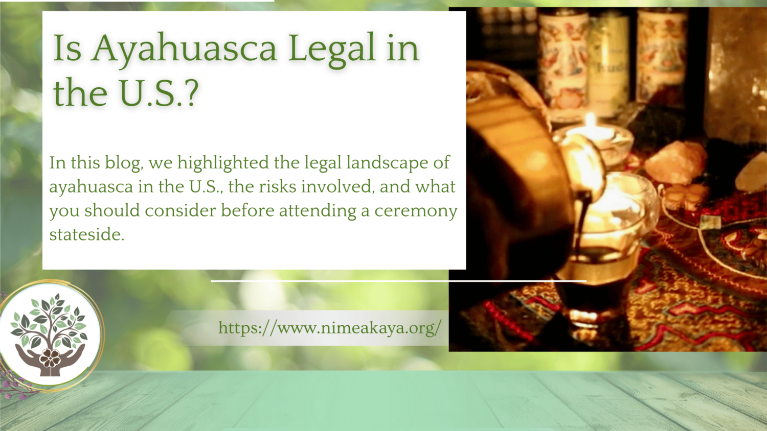 is ayahuasca legal in us