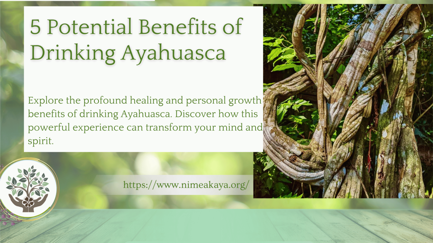 5 Potential Benefits of Drinking Ayahuasca