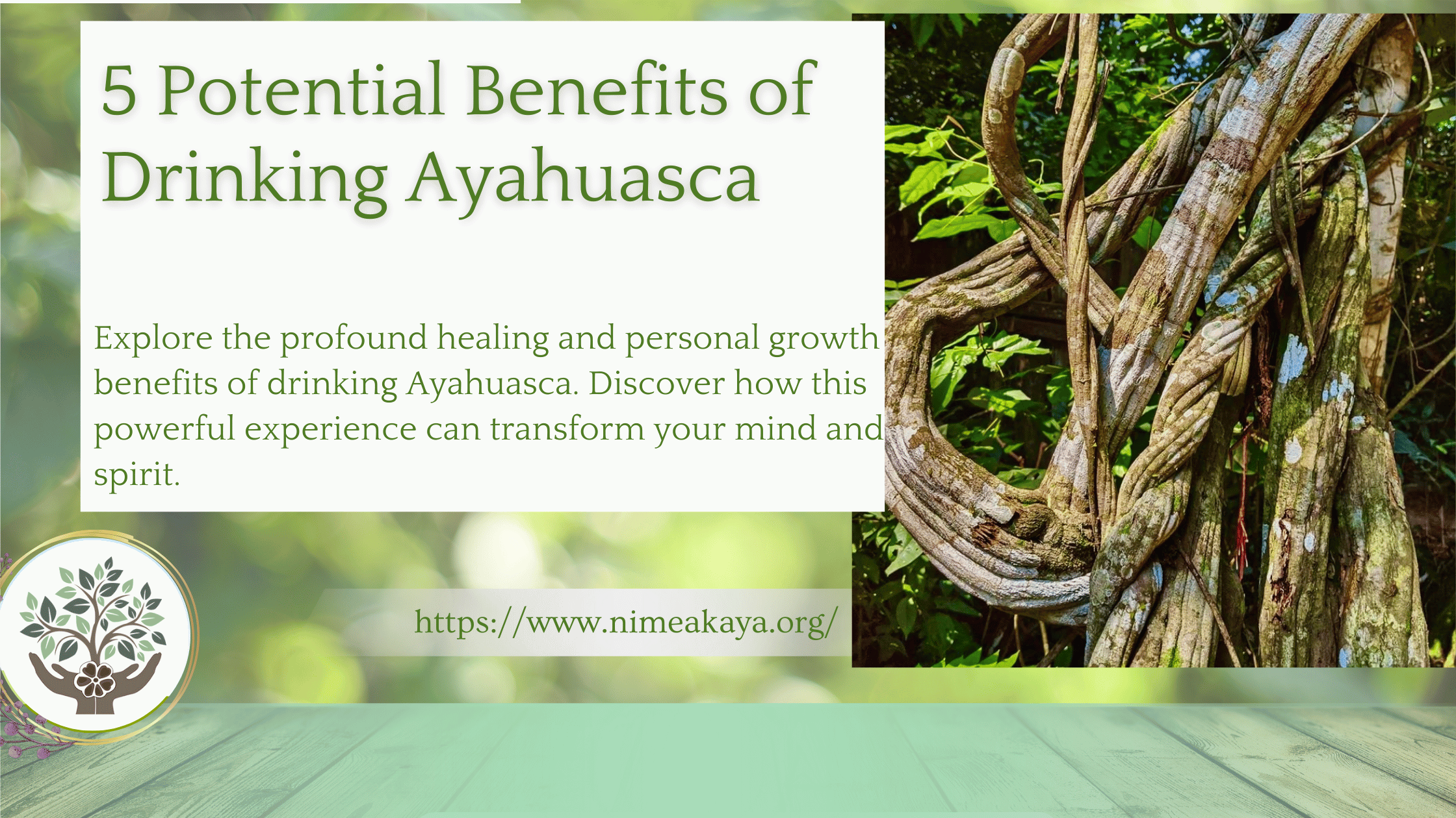 5 Potential Benefits of Drinking Ayahuasca
