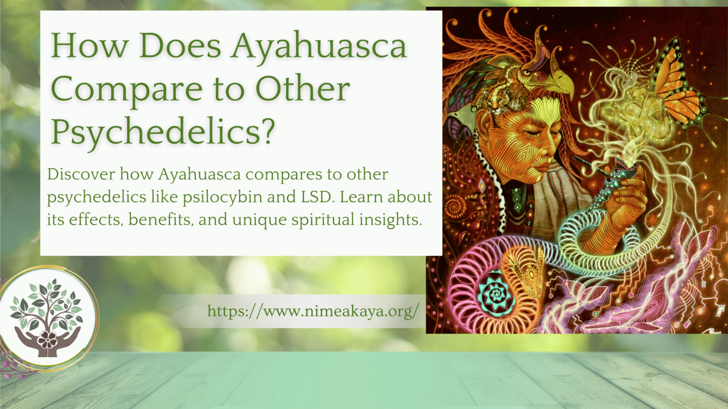 How Does Ayahuasca Compare to Other Psychedelics?