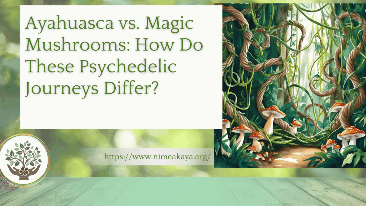 Ayahuasca vs. Magic Mushrooms: How Do These Psychedelic Journeys Differ?