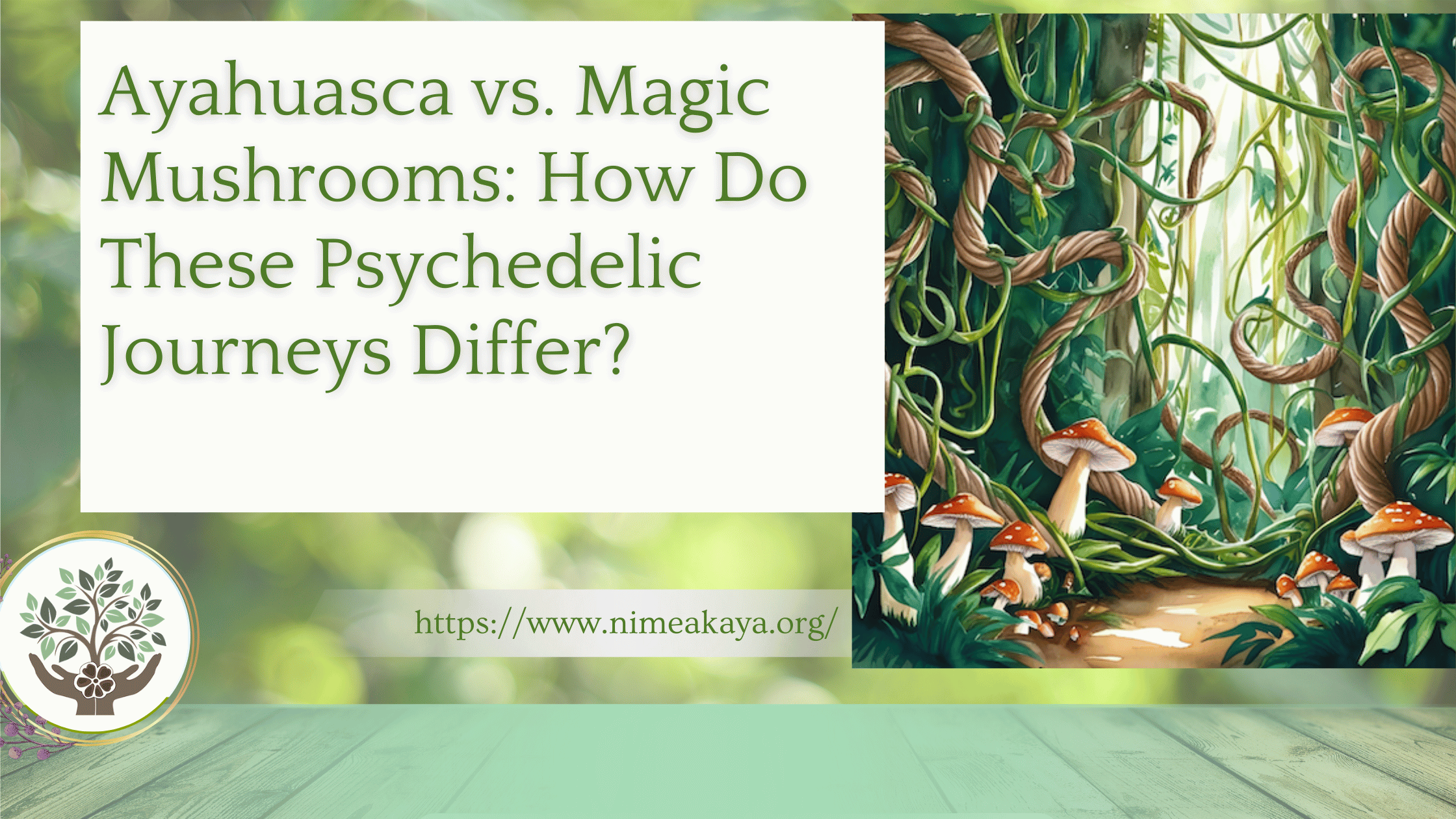 Ayahuasca vs. Magic Mushrooms: How Do These Psychedelic Journeys Differ?