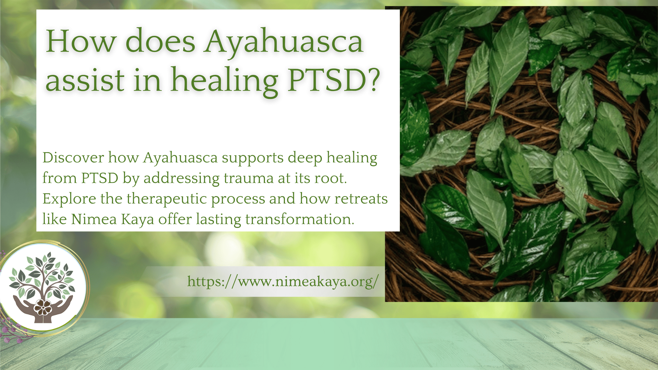 How does Ayahuasca assist in healing PTSD?