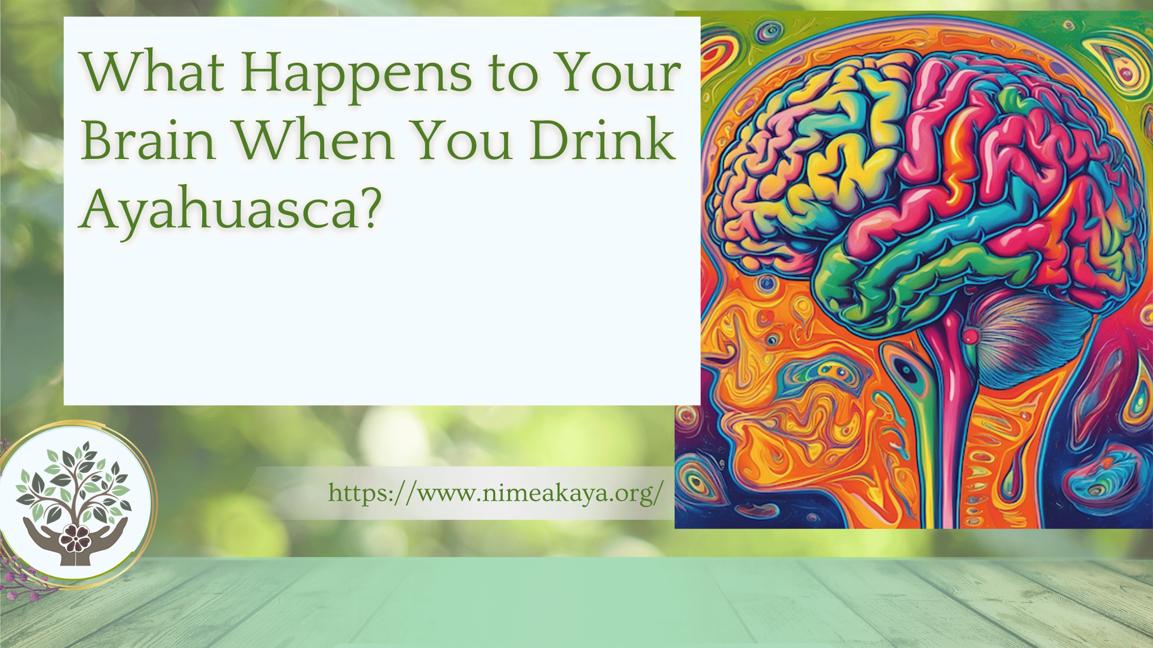 What Happens to Your Brain When You Drink Ayahuasca?