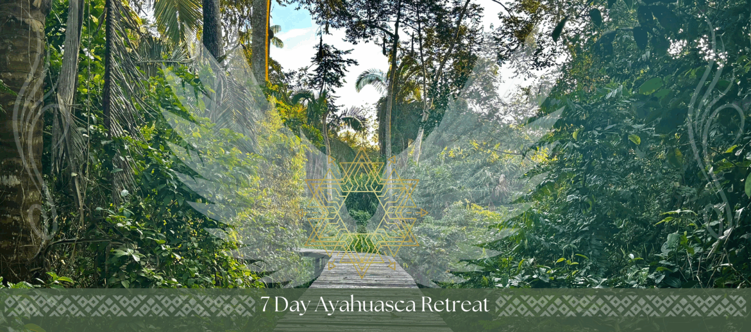 7 Day ayahuasca retreat - Nimea Kaya