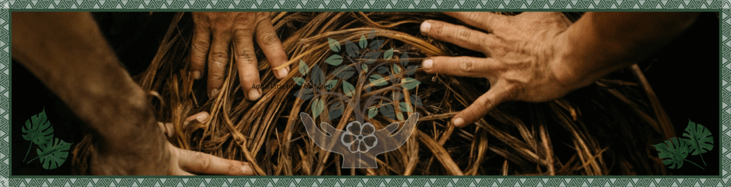 7 day ayahuasca retreat