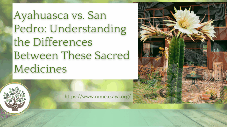Ayahuasca vs. San Pedro