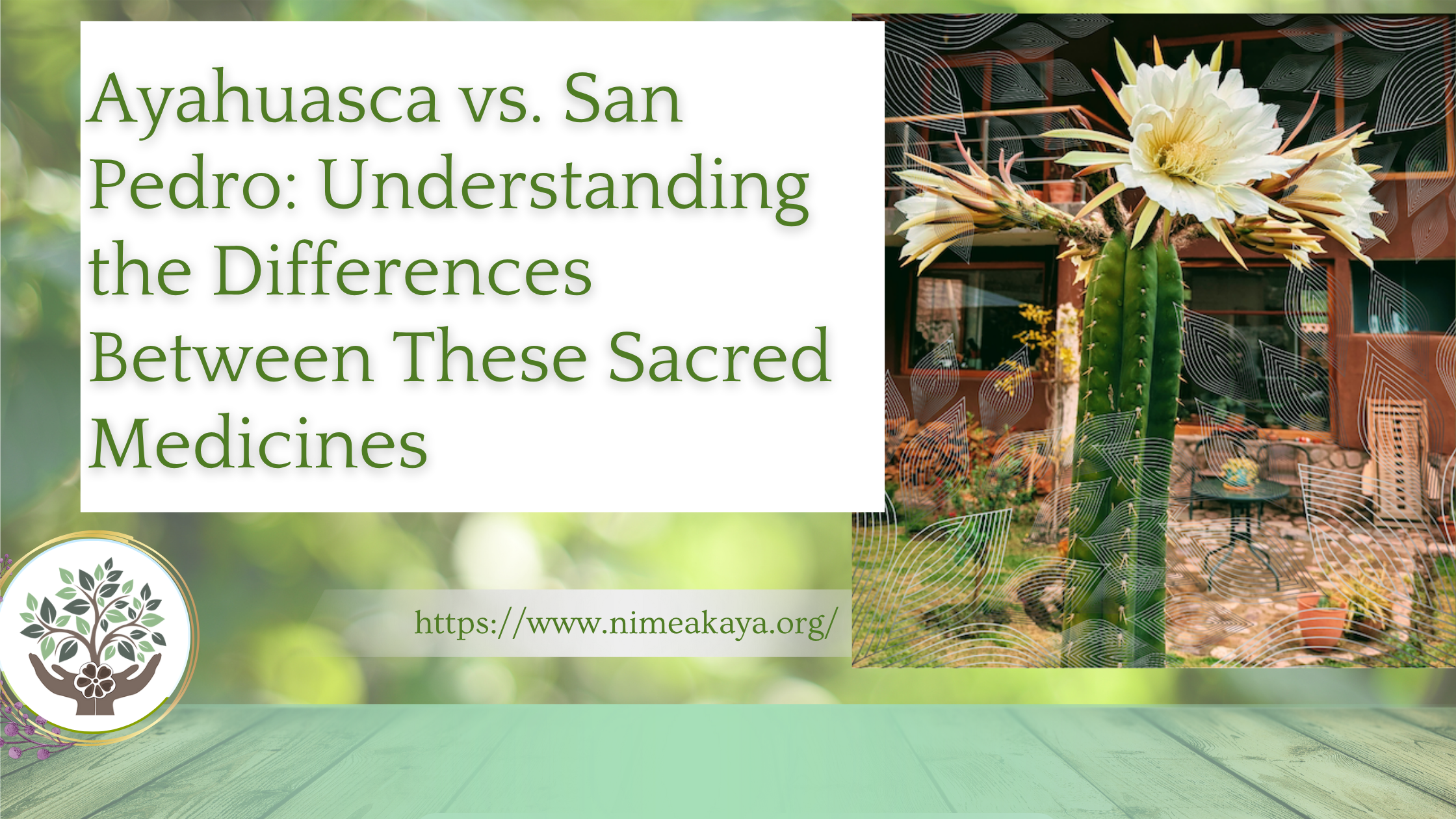 Ayahuasca vs. San Pedro