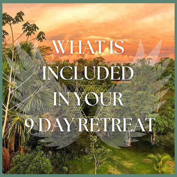 9 day ayahuasca retreat