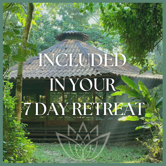 7 Day Ayahuasca Retreat