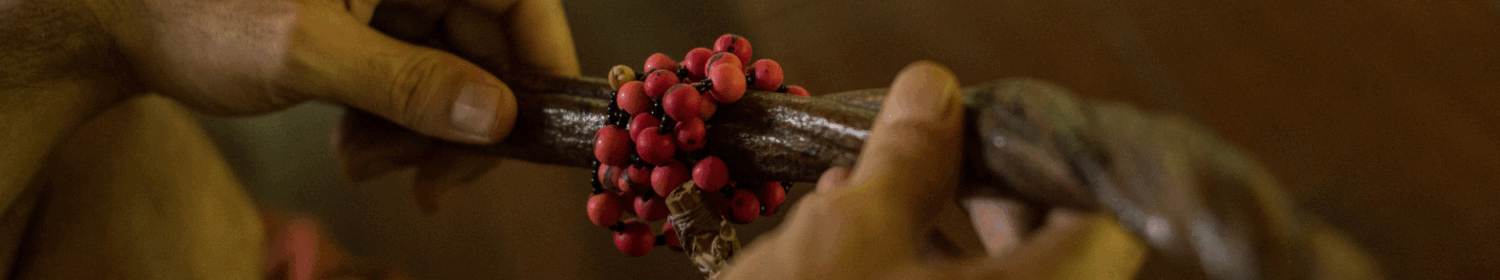 9 day ayahuasca retreat peru