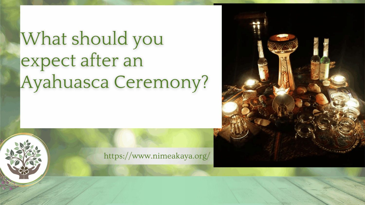 What should you expect after an Ayahuasca Ceremony