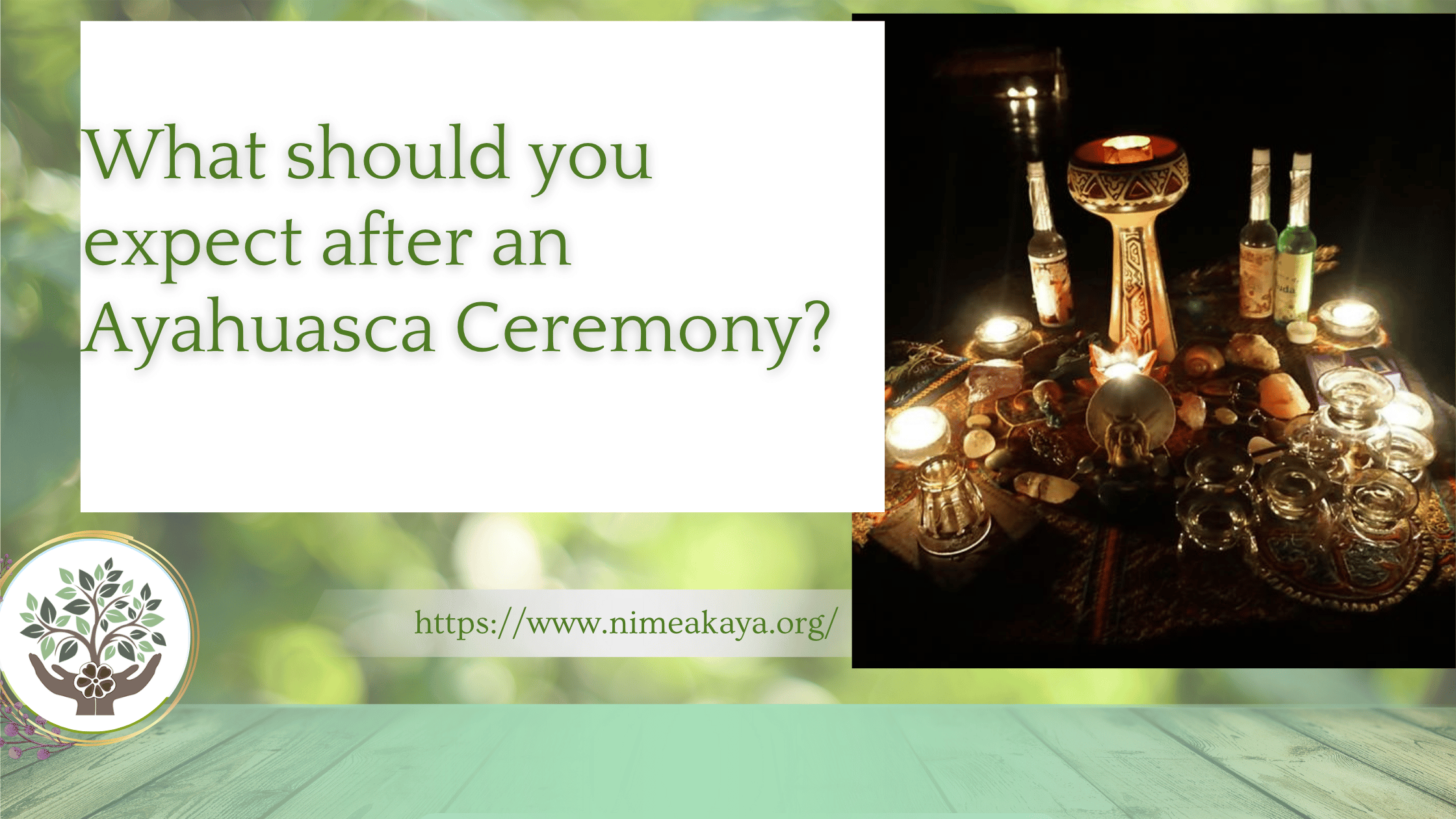 What should you expect after an Ayahuasca Ceremony