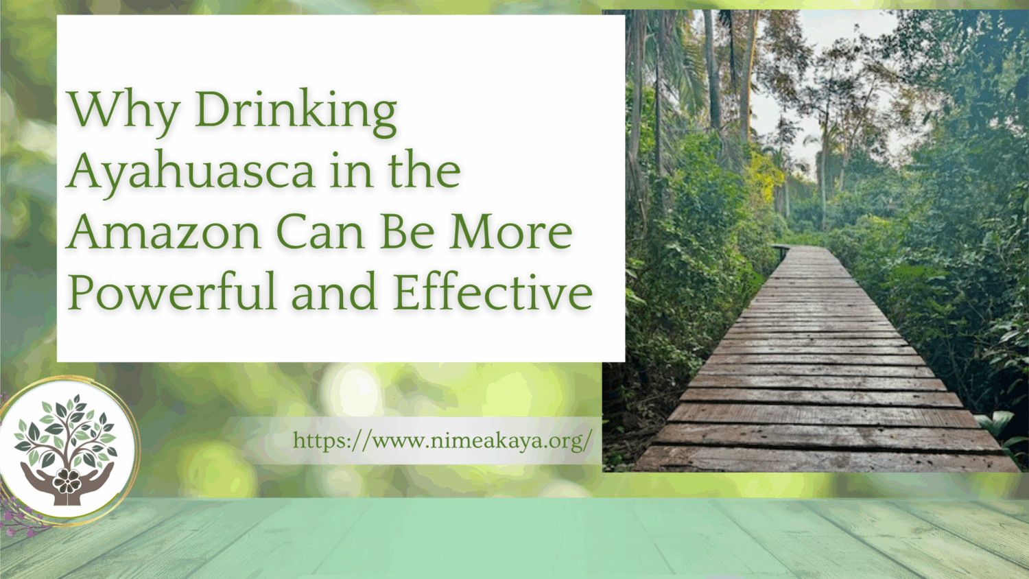 Why Drinking Ayahuasca in the Amazon Can Be More Powerful and Effective