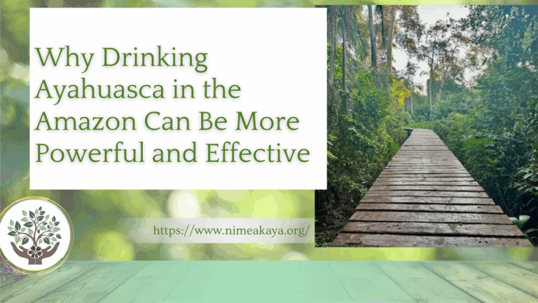 Why Drinking Ayahuasca in the Amazon Can Be More Powerful and Effective