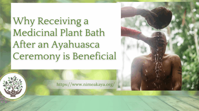 Why Receiving a Medicinal Plant Bath After an Ayahuasca Ceremony is Beneficial