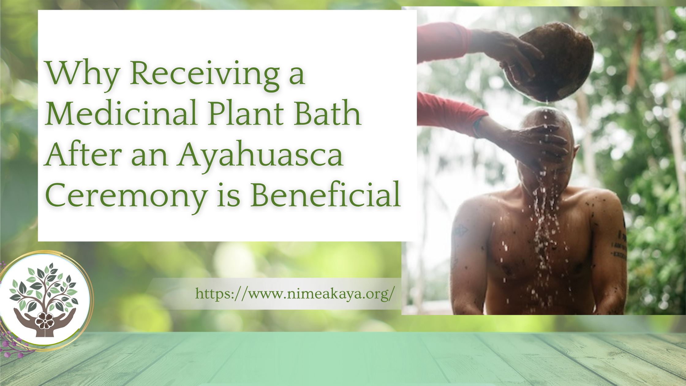 Why Receiving a Medicinal Plant Bath After an Ayahuasca Ceremony is Beneficial