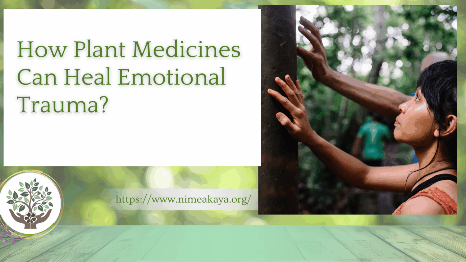 How Plant Medicines Can Heal Emotional Trauma