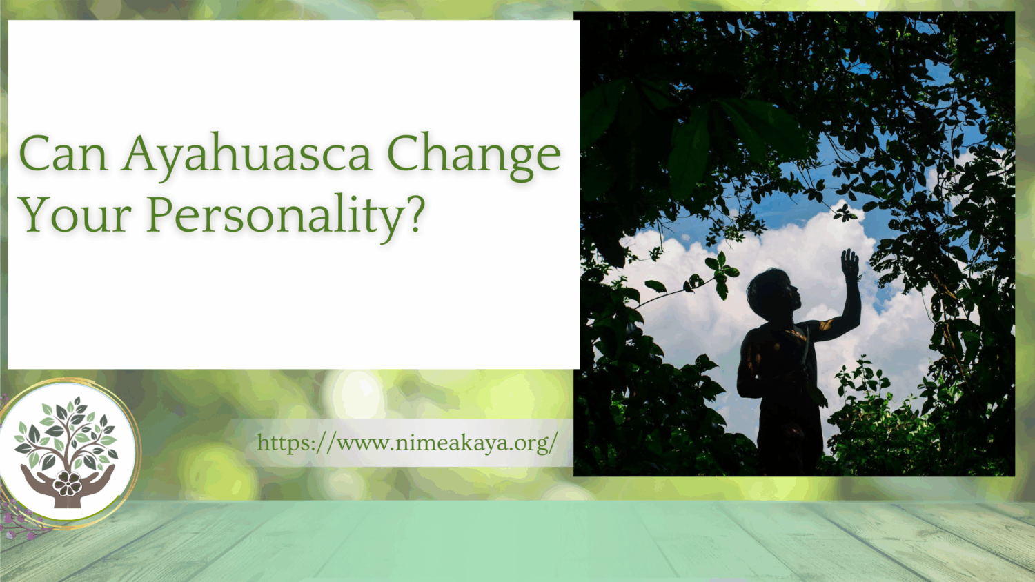 Can Ayahuasca Change Your Personality
