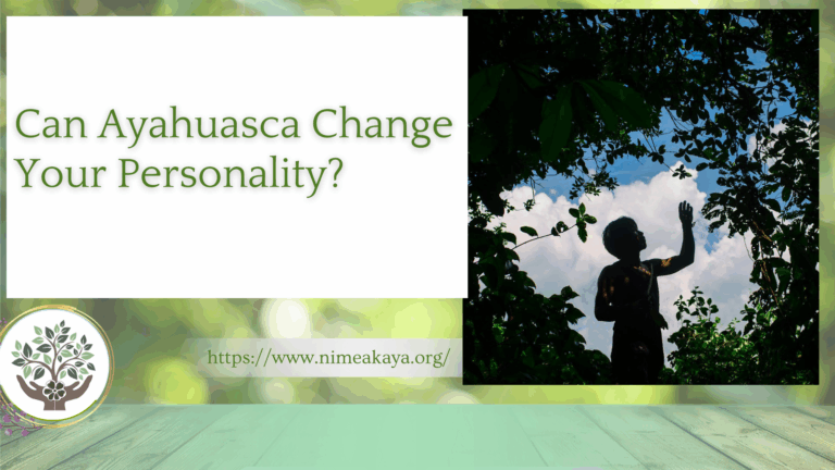 Can Ayahuasca Change Your Personality

