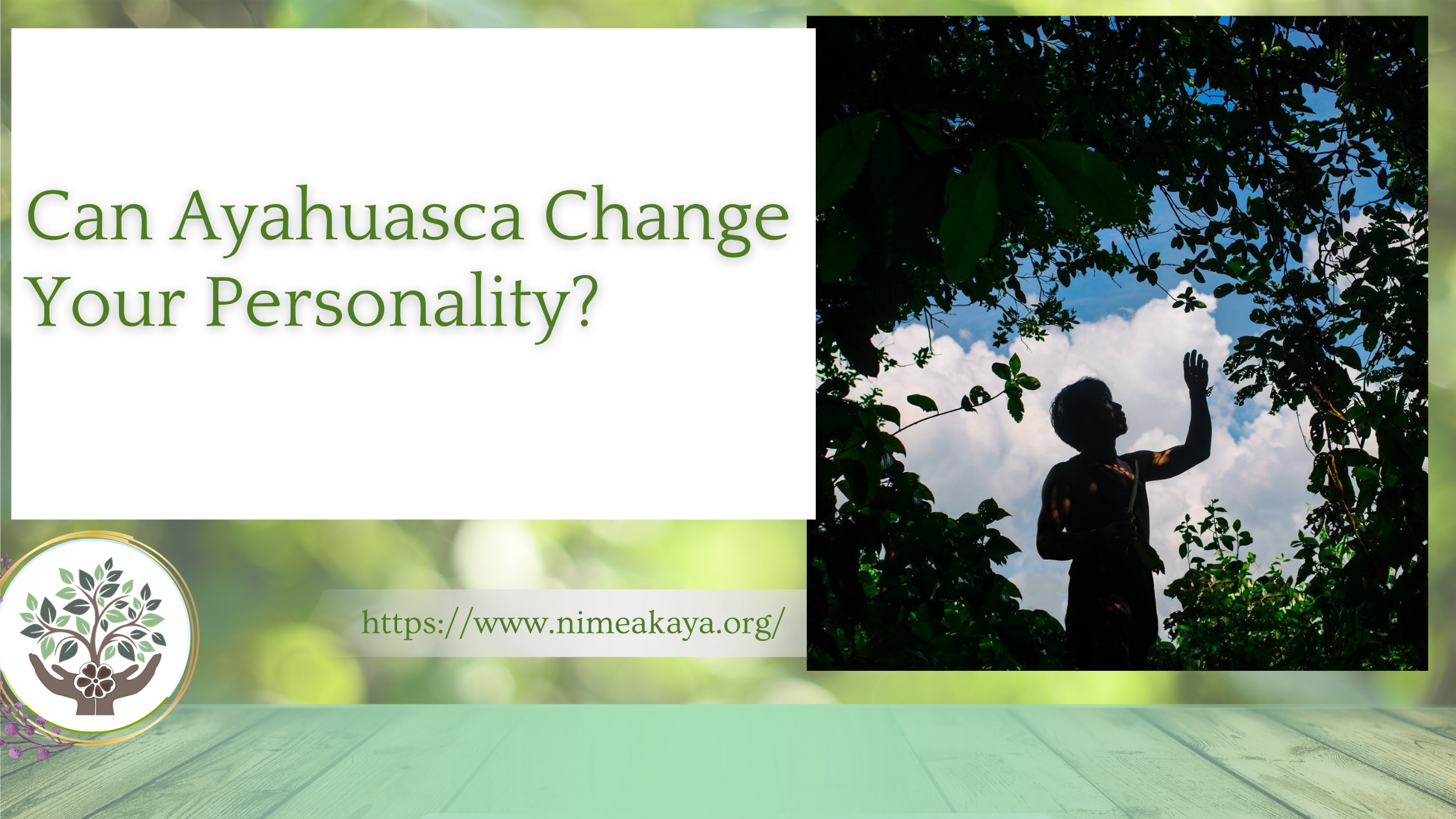 Can Ayahuasca Change Your Personality