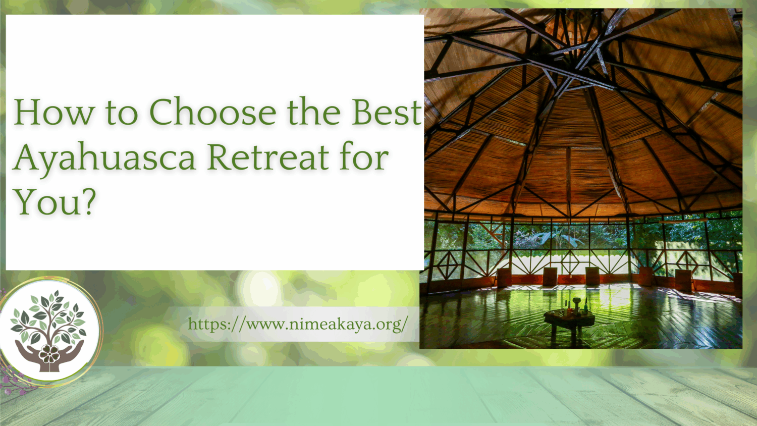 How to Choose the Best Ayahuasca Retreat for You