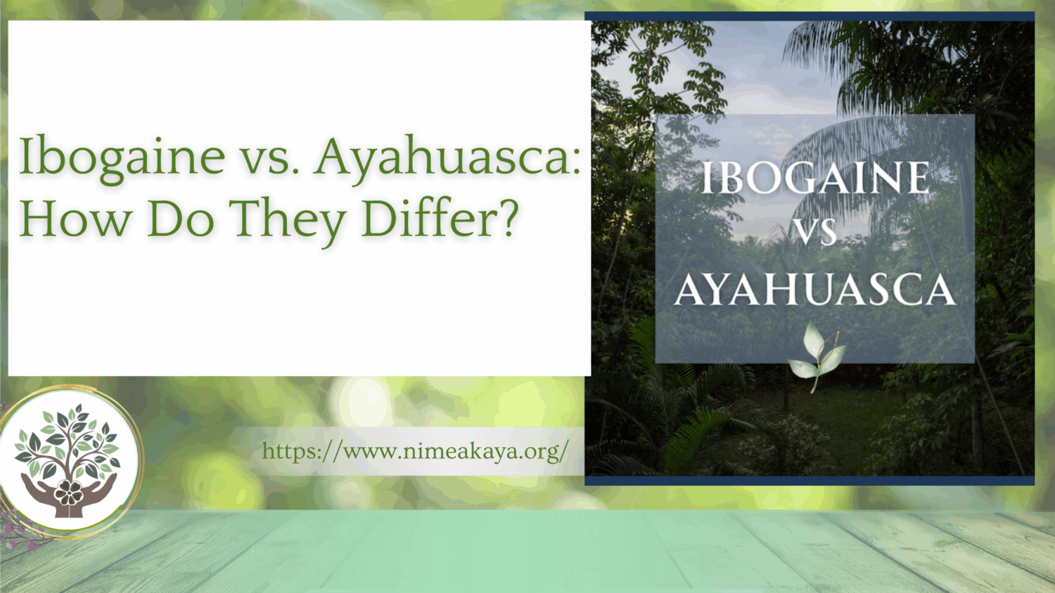 Ibogaine vs. Ayahuasca: How Do They Differ?