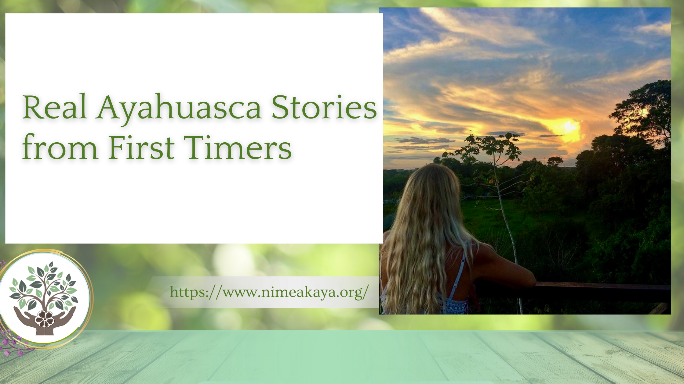 Real Ayahuasca Stories from First Timers