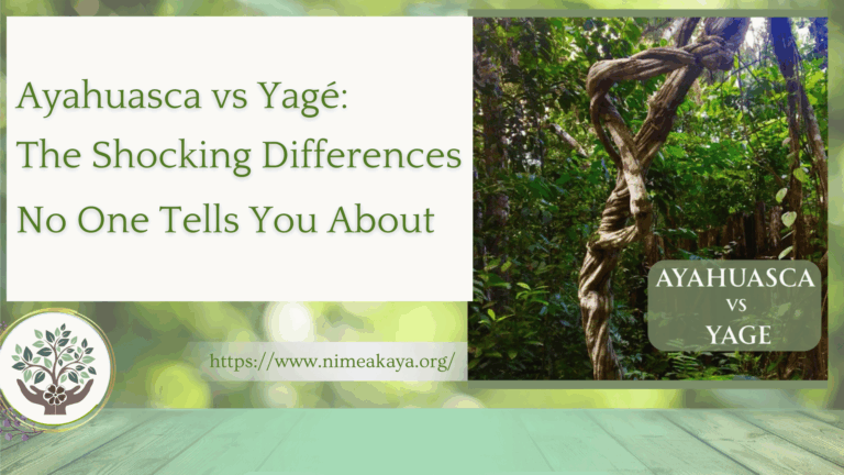 Ayahuasca vs Yagé: The Shocking Differences No One Tells You About