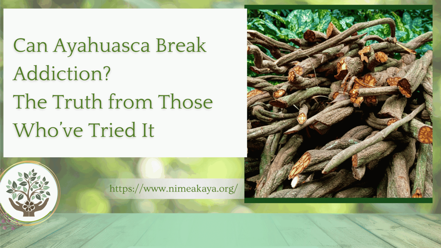 Can Ayahuasca Break Addiction