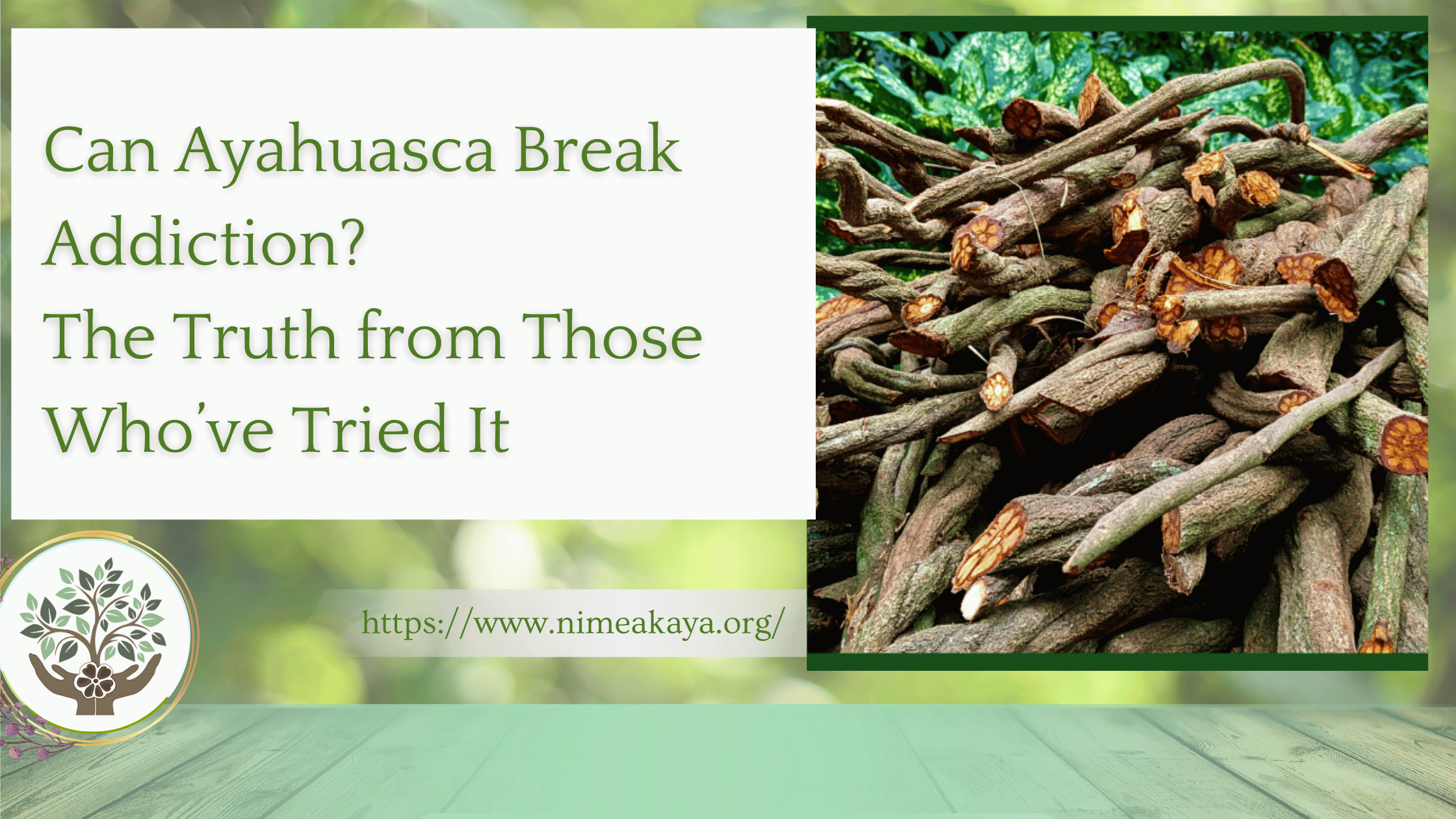 Can Ayahuasca Break Addiction