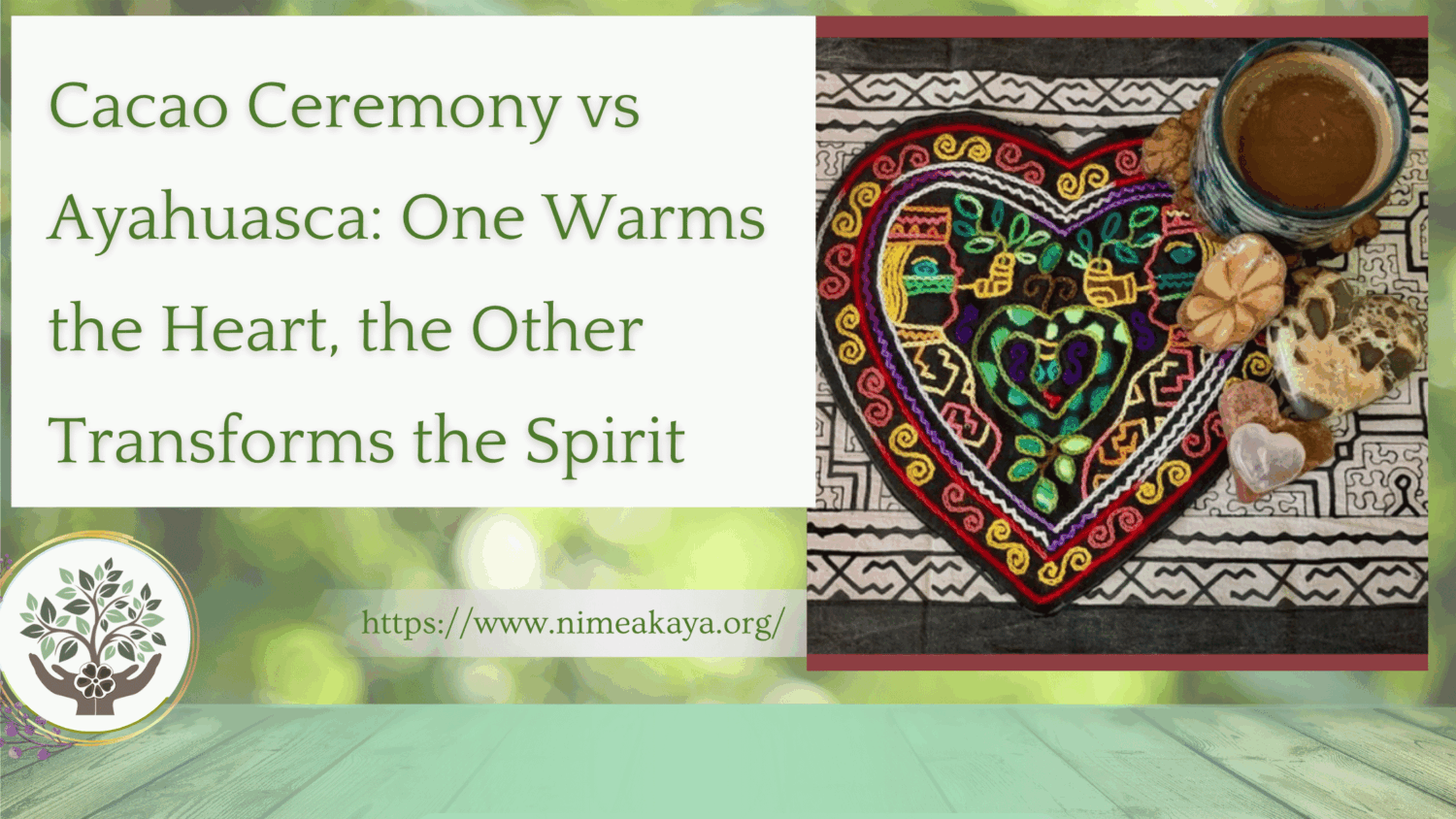 Cacao Ceremony vs Ayahuasca - Nimea Kaya