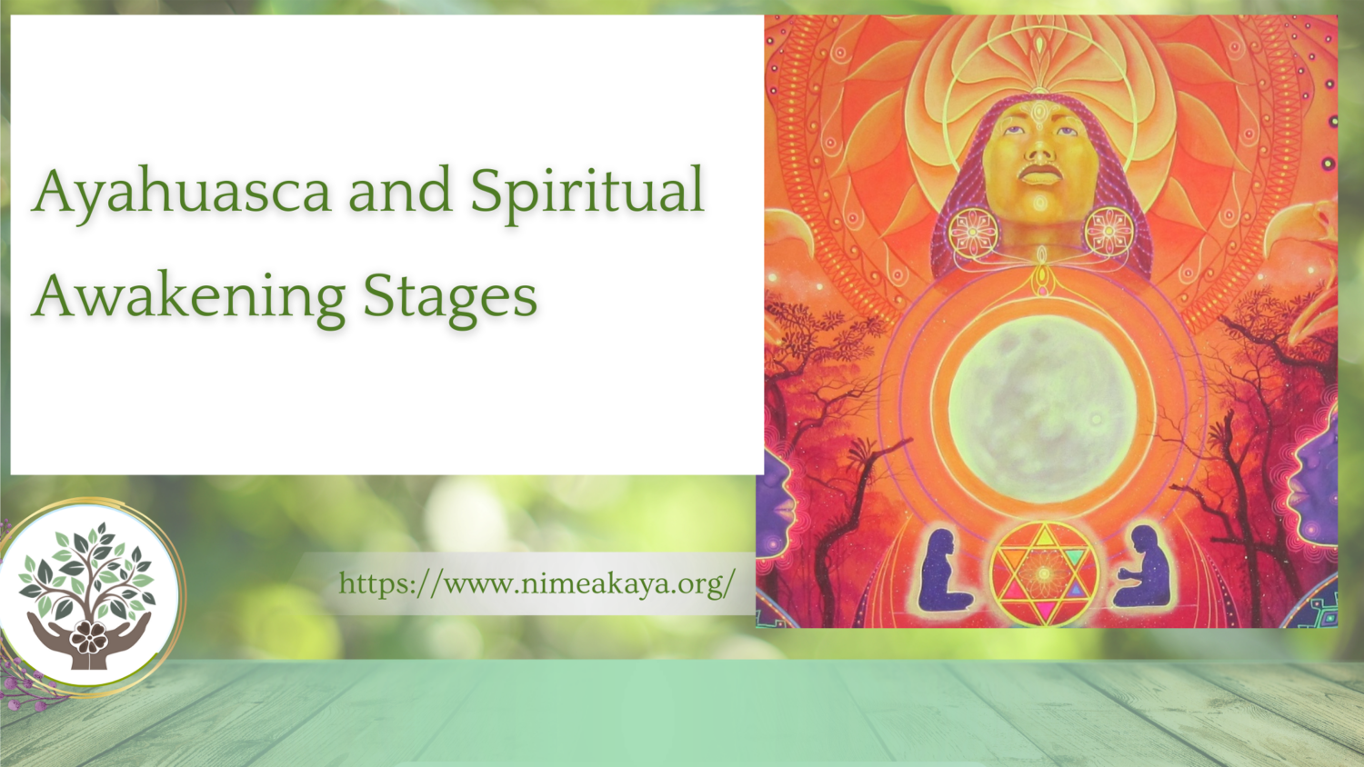 Ayahuasca and Spiritual Awakening Stages