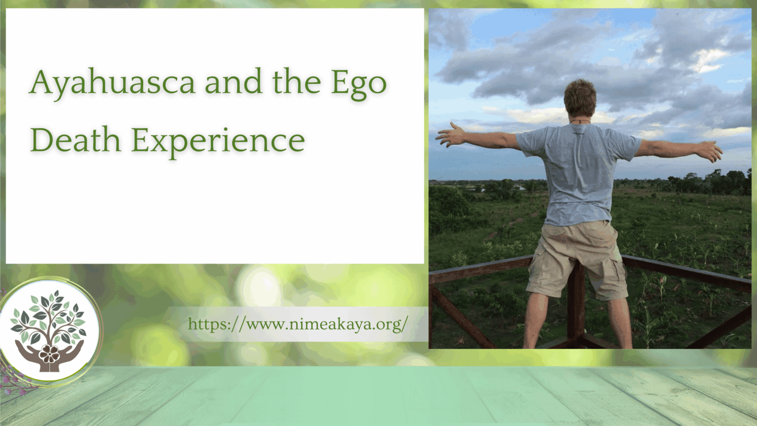 Ayahuasca and the Ego Death Experience