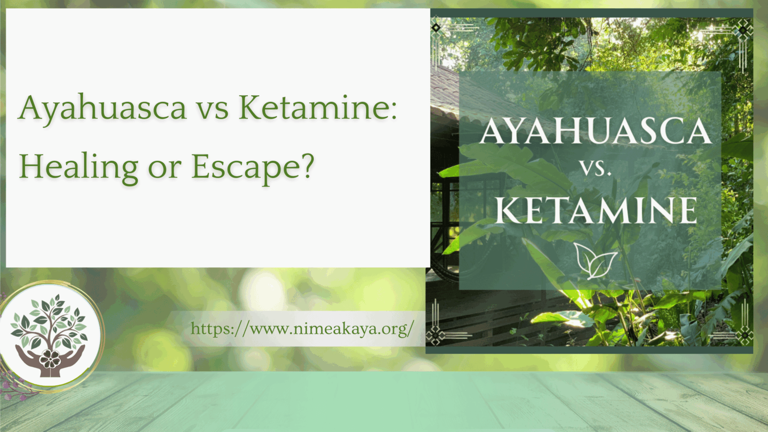 Ayahuasca vs Ketamine Healing or Escape