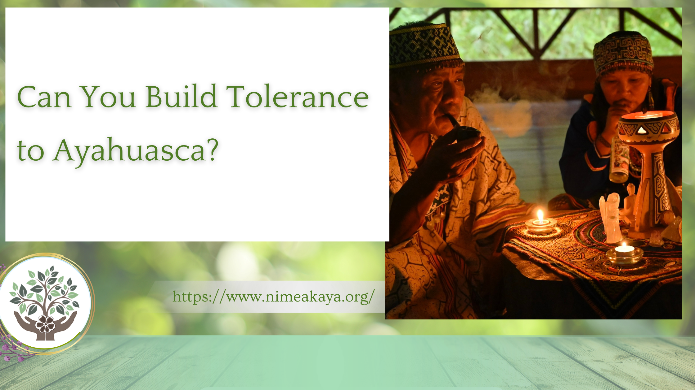 Can You Build Tolerance to Ayahuasca