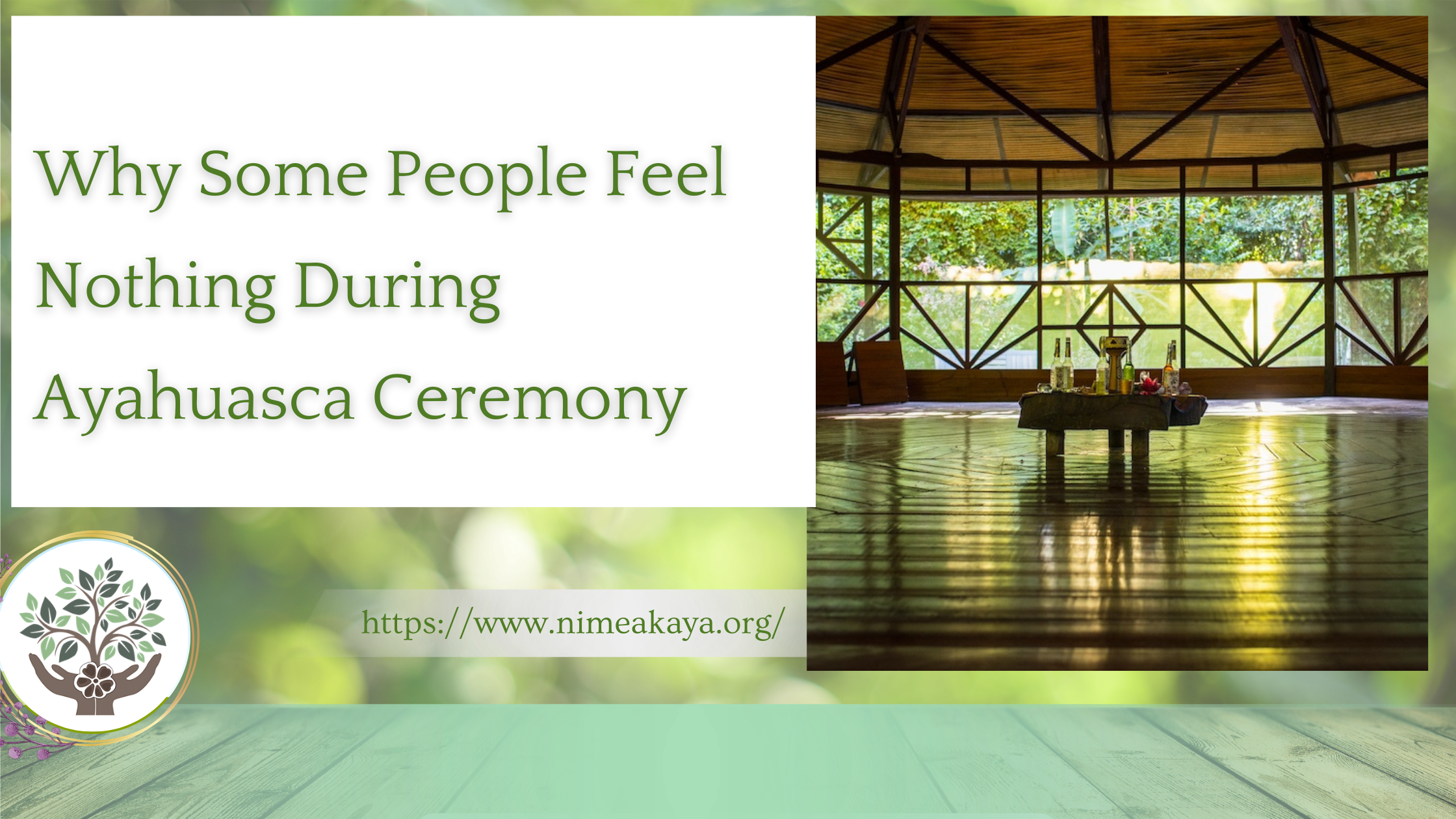 Why Some People Feel Nothing During Ayahuasca Ceremony
